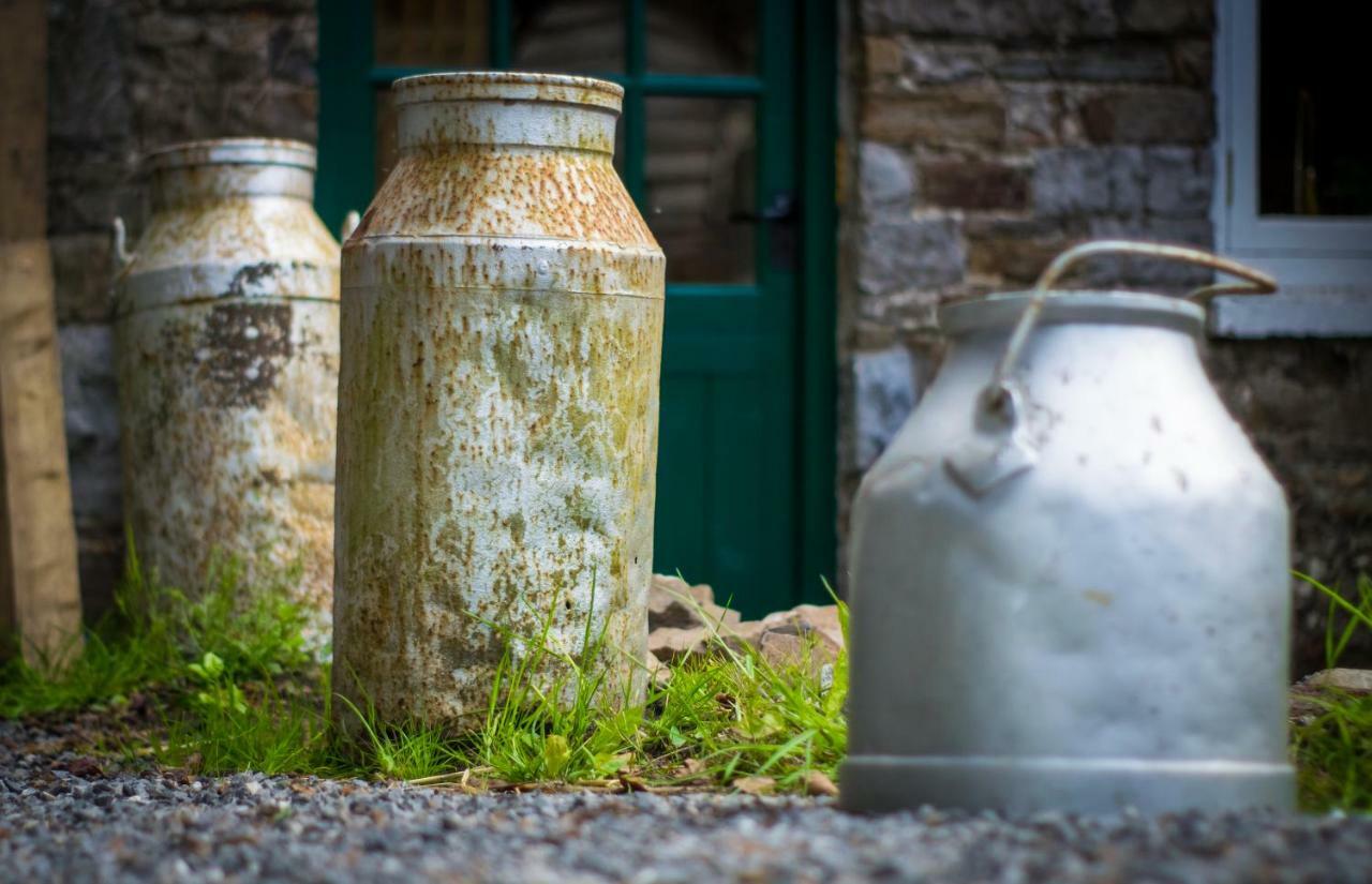 Pontyclerc Farm House Bed And Breakfast Ammanford Extérieur photo